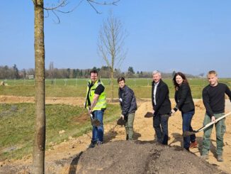 Neues Quartier Bierstadt Nord erhält zentrale Grünanlage mit 83 Bäumen