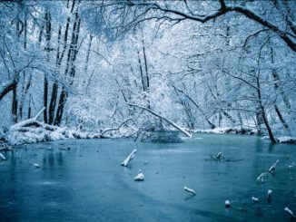 Wiesbaden warnt vor Betreten gefrorener Gewässer wegen Einsturzgefahr